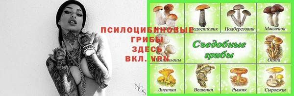 ALPHA-PVP Алексеевка