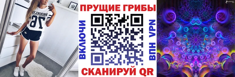 Галлюциногенные грибы Psilocybe  Бабаево 