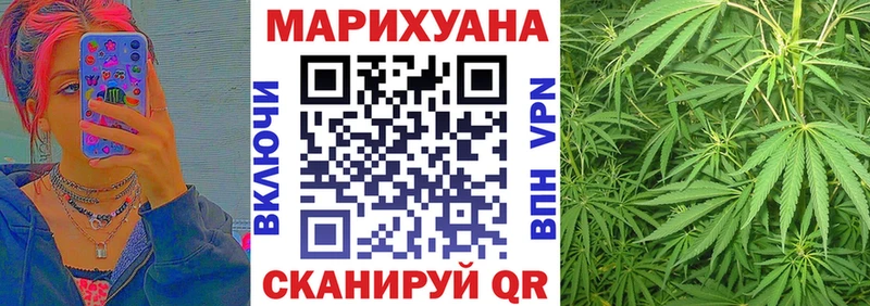 хочу   Бабаево  Канабис план 